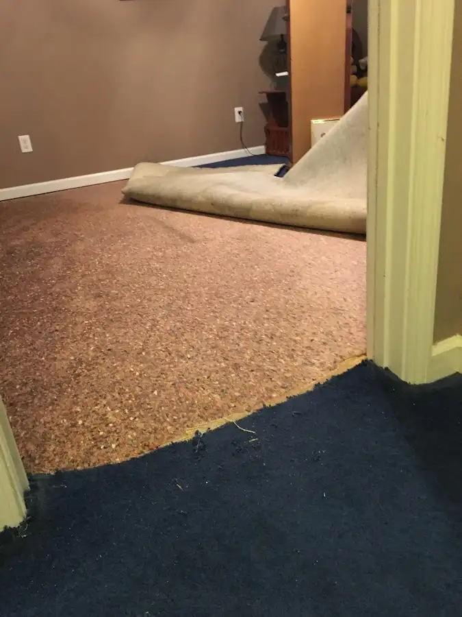 Carpet pad removal revealing water damage during Drying & Dehumidification in Kenai