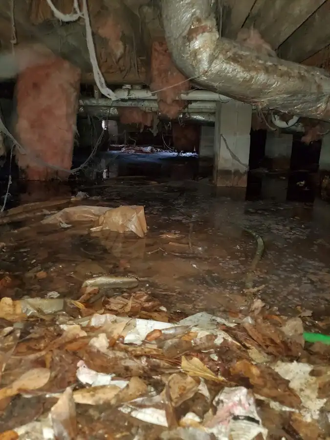 Crawl space flood assessment for Leak Detection & Repair in Kenai