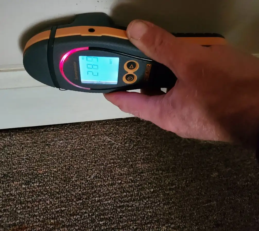 Moisture detection at baseboard during Burst Pipe Cleanup in Kenai